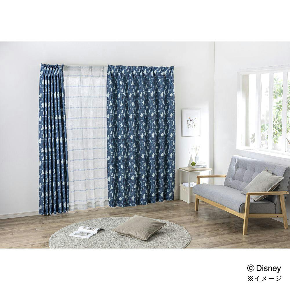 カーテン blue2187 ディズニー カーテン アナ＆エルサ 100×210cm 2枚組 洗濯OK 遮光率