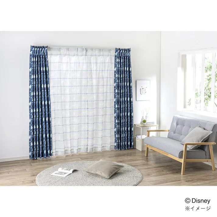 ディズニー レースカーテン アナ&エルサ 100×108cm 2枚組 洗濯OK【別送品】