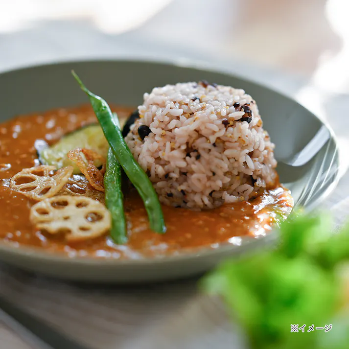 軽スタ 軽量磁器食器 プレート クールグレー 22cm