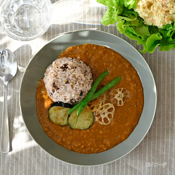 軽スタ 軽量磁器食器 プレート クールグレー 22cm