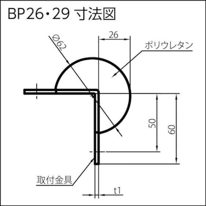 【CAINZ-DASH】岩田製作所 バンパープロ　ＢＰ２９　（１ｍ） BP29-L1【別送品】