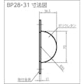 【CAINZ-DASH】岩田製作所 バンパープロ　ＢＰ３１　（１ｍ） BP31-L1【別送品】