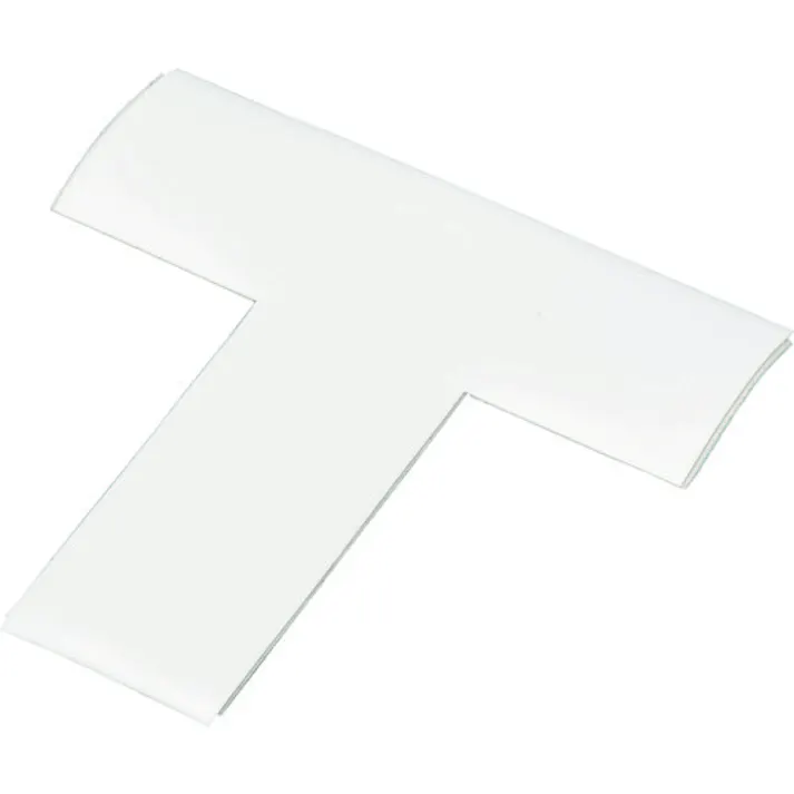 【CAINZ-DASH】岩田製作所 ラインプロTタイプ(白)2枚入り LPT1【別送品】