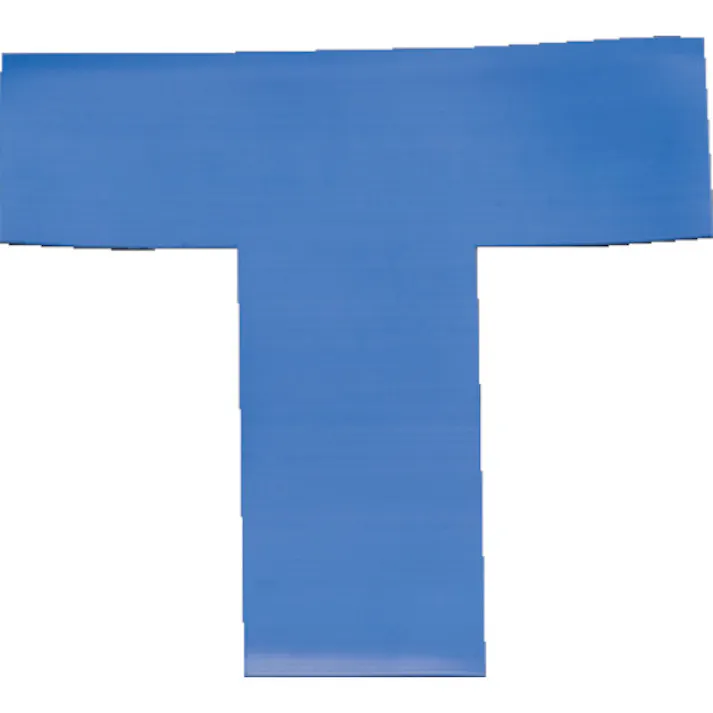 【CAINZ-DASH】岩田製作所 ラインプロTタイプ(青)2枚入り LPT5【別送品】