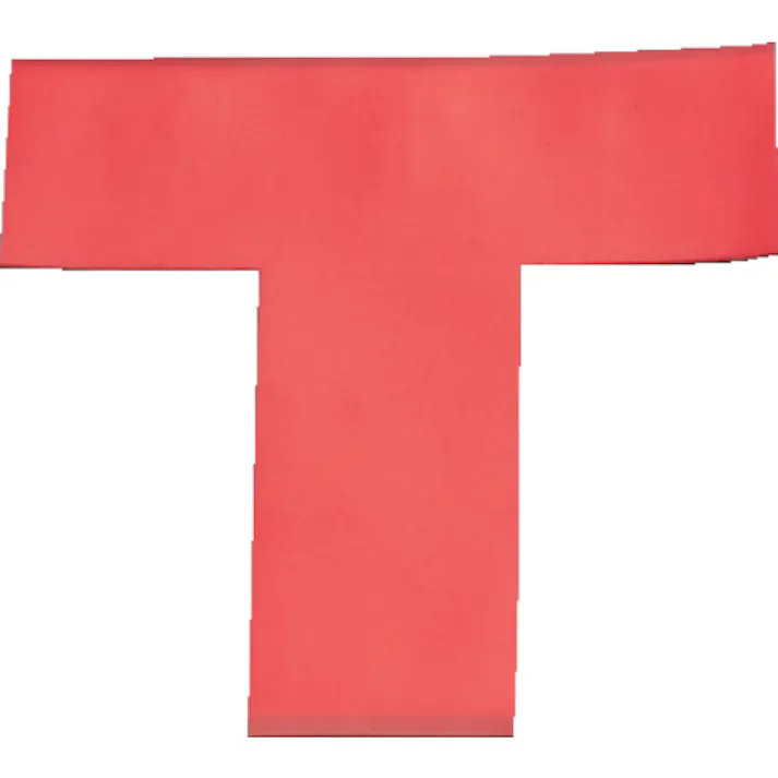 【CAINZ-DASH】岩田製作所 ラインプロTタイプ(赤)2枚入り LPT6【別送品】