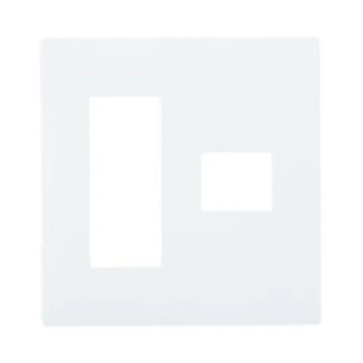 パナソニック アドバンスシリーズ コンセントプレート 2連用 4コ用 マットホワイト WTL7074WK