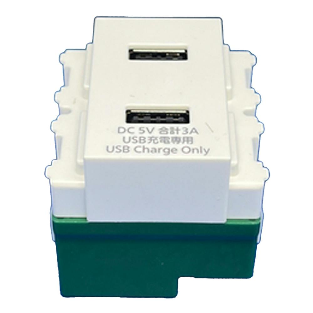 パナソニック アドバンスシリーズ 埋込充電用USBコンセント 2ポート