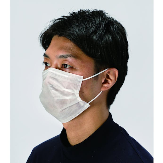【CAINZ-DASH】トラスコ中山 作業用マスク（耳掛けタイプ）２層　（１００枚入） TEM2L-100【別送品】