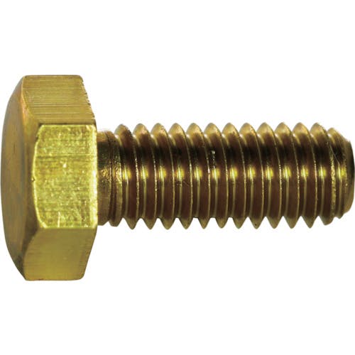 【CAINZ-DASH】トラスコ中山 六角ボルト　黄銅　全ネジ　Ｍ６×１６　１０本入 Y501-0616【別送品】