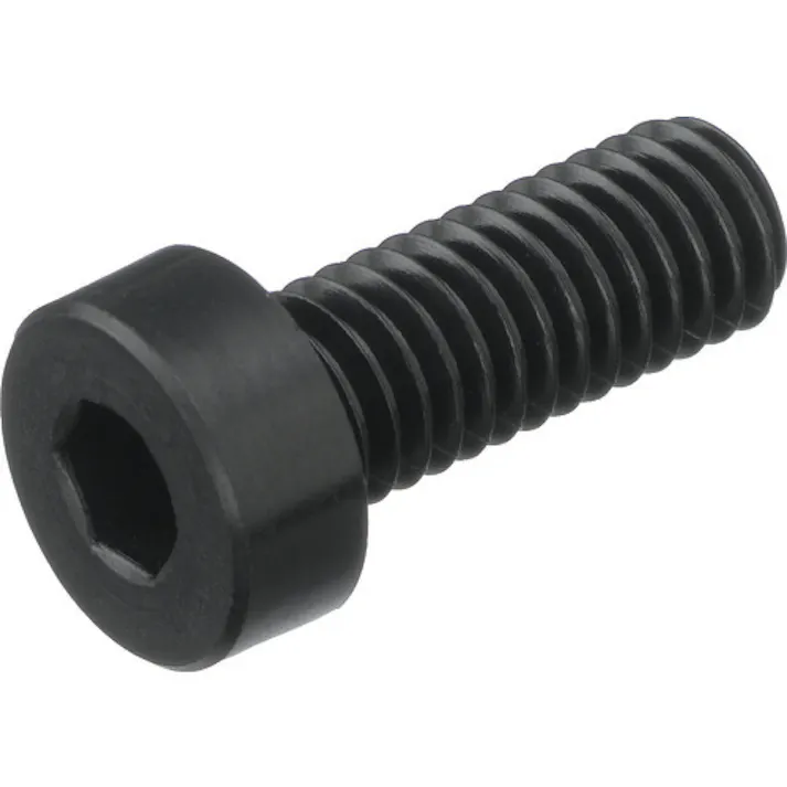 【CAINZ-DASH】トラスコ中山 ガラス繊維強化ポリアミドMXD6 RENY黒 六角穴付低頭ボルト M5X8 50本入 BRENY-BKLCM5X8【別送品】