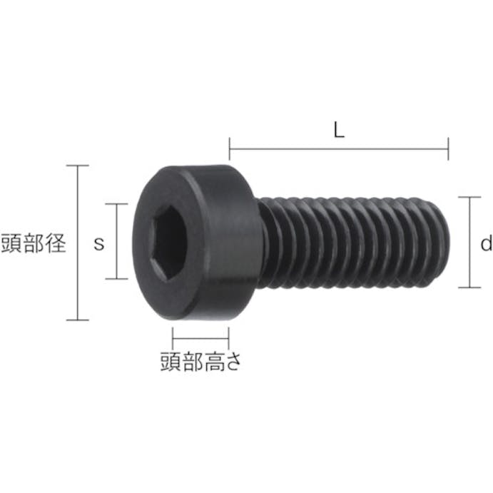 【CAINZ-DASH】トラスコ中山 ガラス繊維強化ポリアミドＭＸＤ６　ＲＥＮＹ黒　六角穴付低頭ボルト　Ｍ６Ｘ１６　５０本 BRENY-BKLCM6X16【別送品】