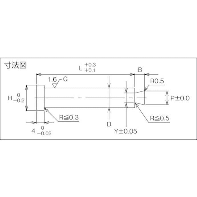 【CAINZ-DASH】トラスコ中山 ランナーロックピン（ノーマル・ストレート） T-RRLR4-20【別送品】