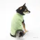 【送料無料】スムースカットソー グリーン Lサイズ ペット服(犬の服)