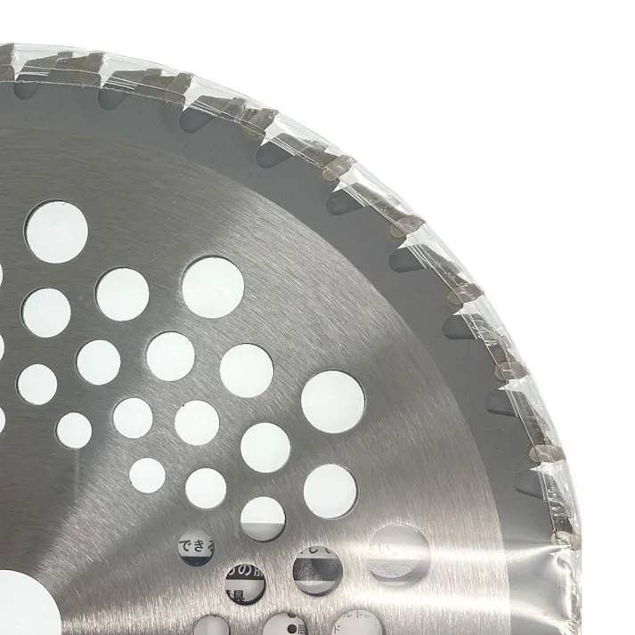 カインズ でっかいチップ 刈払機用チップソー 255×40P 2枚入り