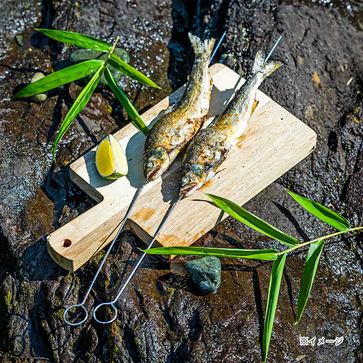 カインズ 魚串 40cm 10本組