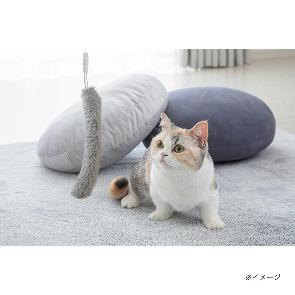 ねこじゃらし なおしてあげる！こねこのおいしゃさん チェリー 4979750814242