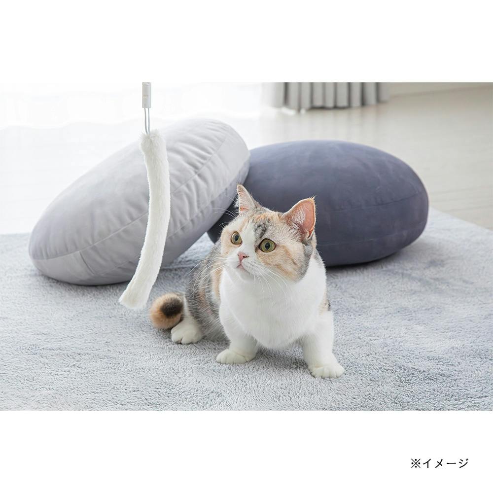 ねこじゃらし Amazon.co.jp: 1/4個 猫 おもちゃ 蝶 鳥 猫じゃらし 飛ぶ鳥 電動