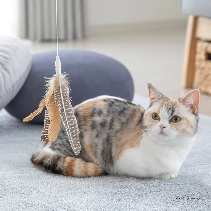 交換できる猫じゃらし(交換用) はね