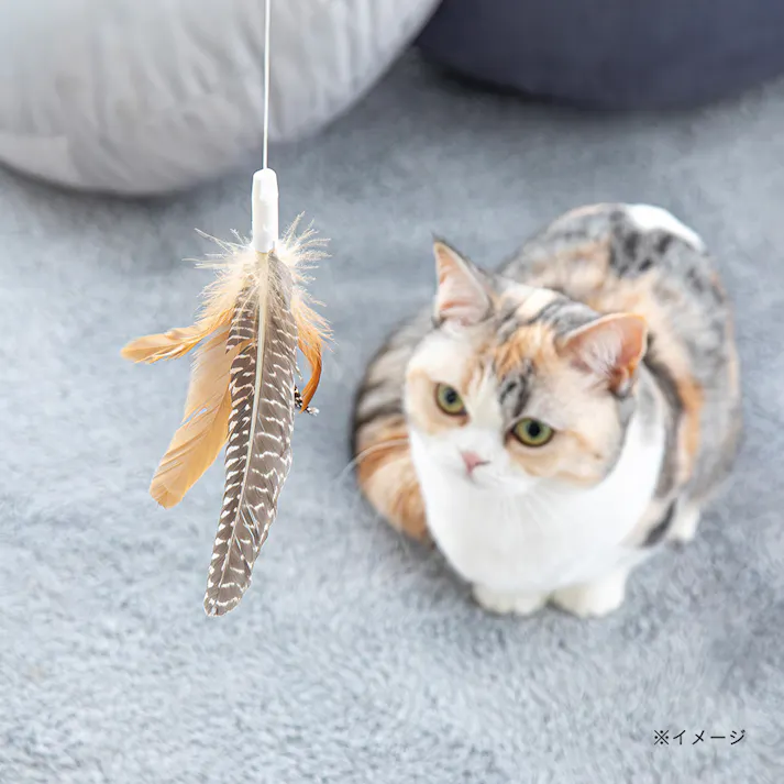 交換できる猫じゃらし(交換用) はね