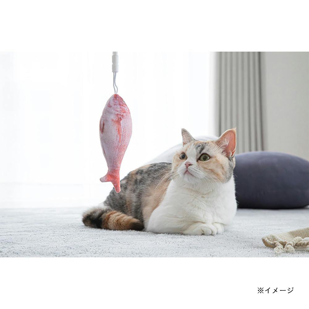 交換できる猫じゃらし(交換用) タイ | ペット用品（猫） 通販