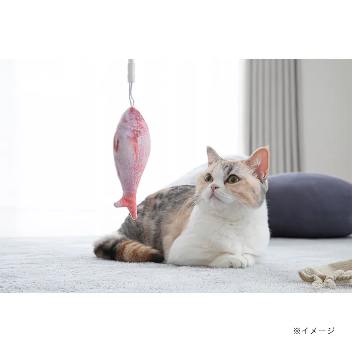 交換できる猫じゃらし(交換用) タイ