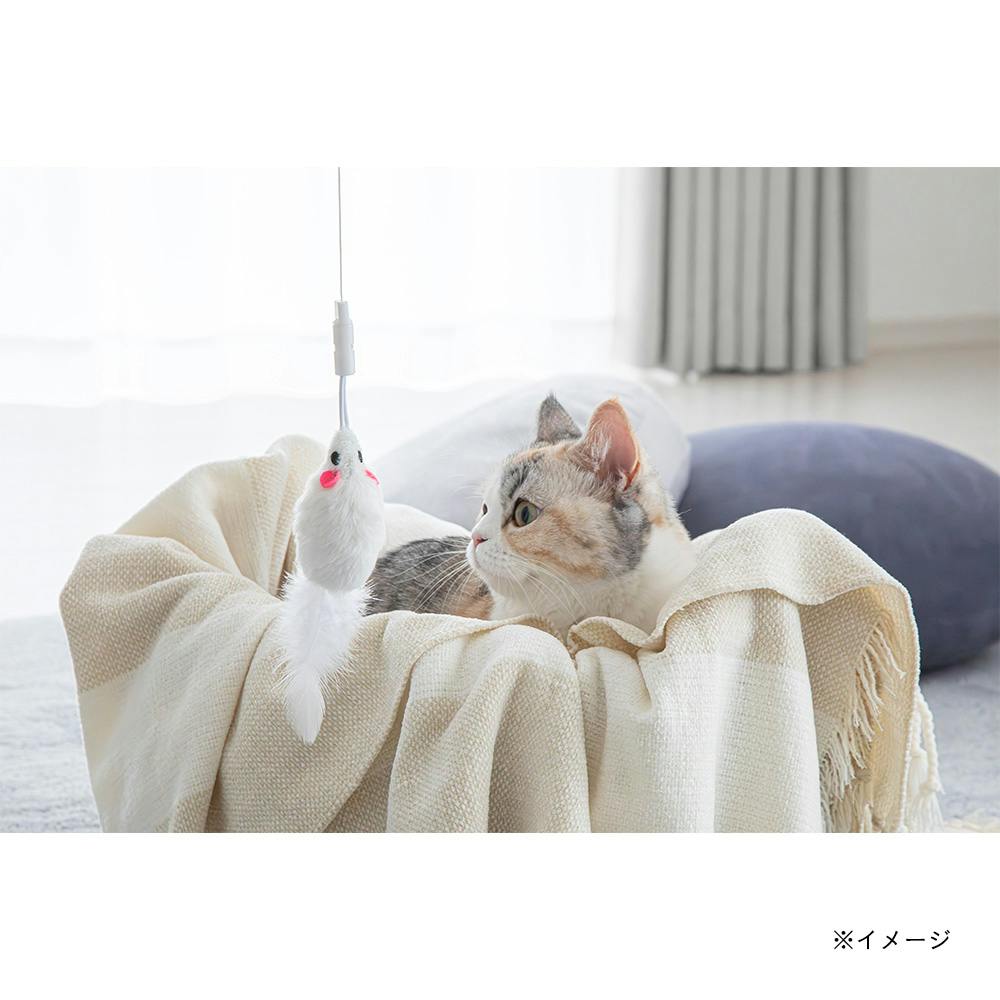猫用専用アイテム サンライズ AIM30 仔猫用 健康な尿路ケア フィッシュ 600g