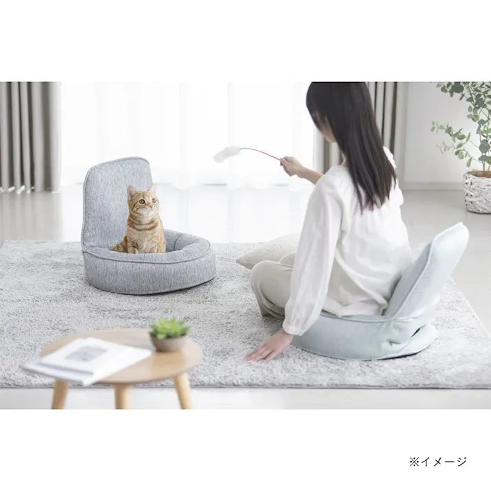 &Pet 持ち運びしやすいバケット座椅子 ミント 幅51cm 奥行48~65cm 高さ35~44cm リクライニング 持ち手付き 爪の引っかきに強い
