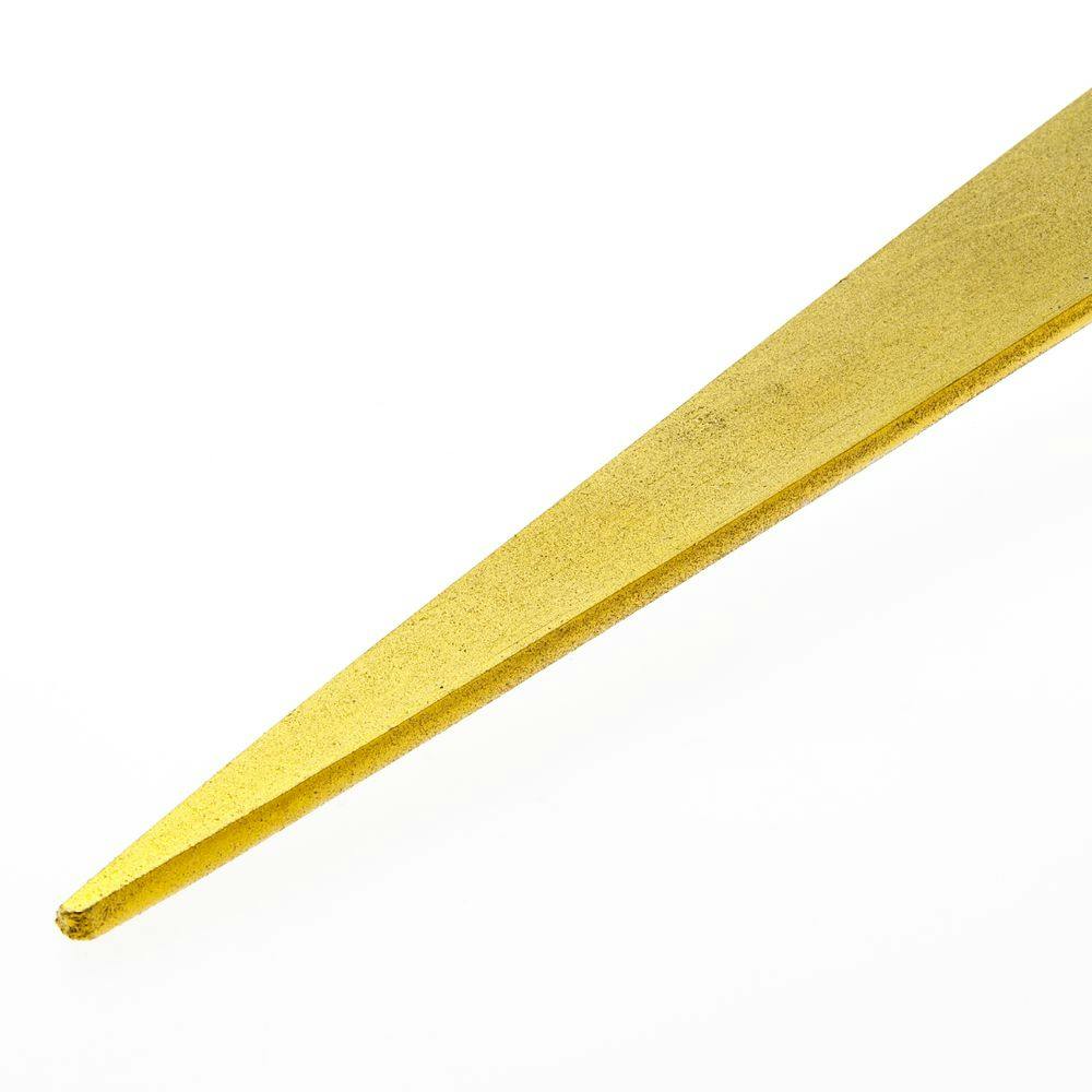 カインズ チタンコートダイヤモンドシャープナー 大 260mm | 作業工具