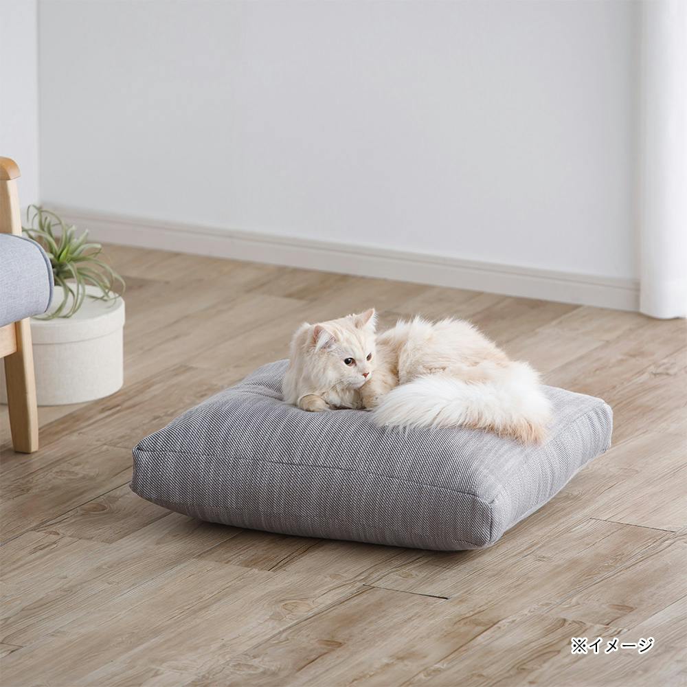 カバーが洗えるクラウドクッション グレー 幅60cm 奥行60cm