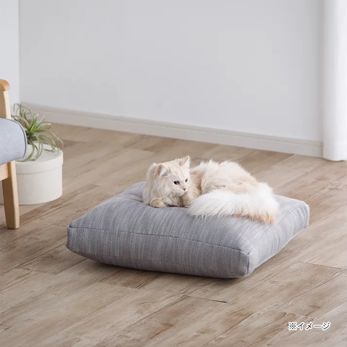 カバーが洗えるクラウドクッション グレー 幅60cm 奥行60cm