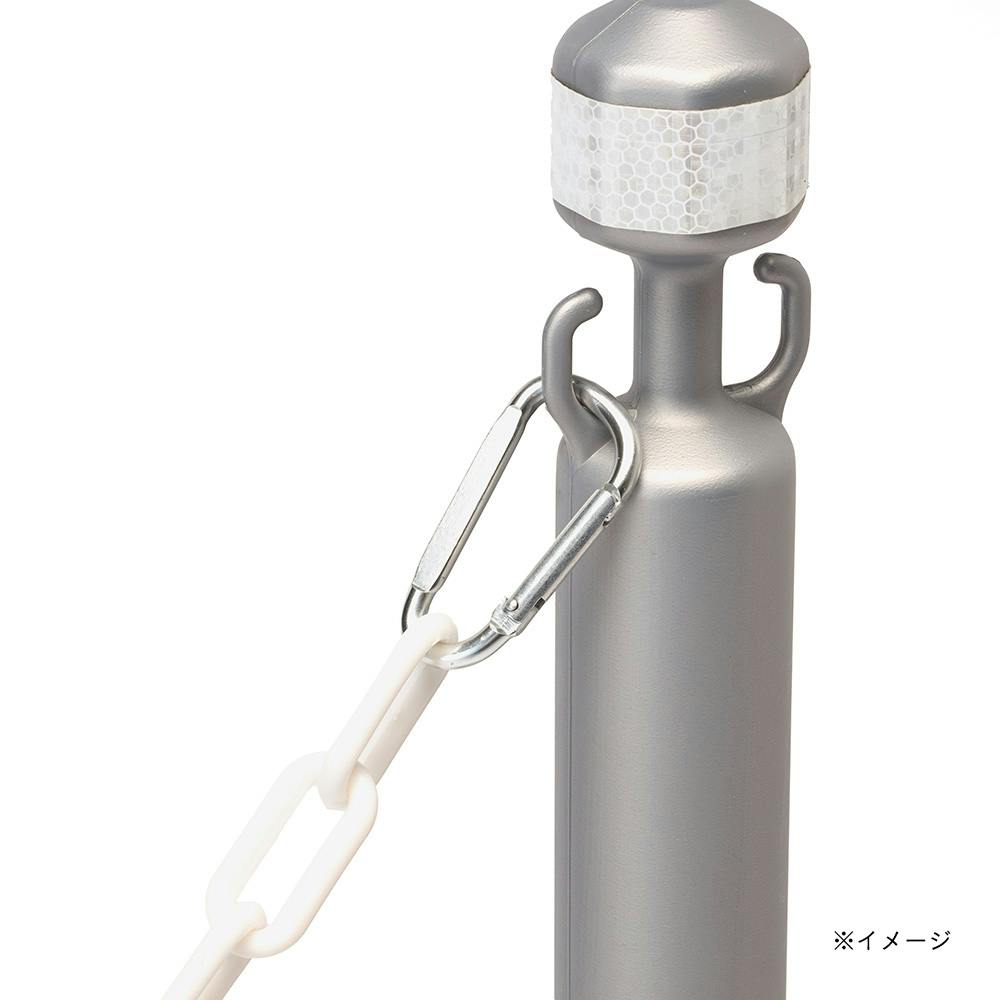 PON☆55様■ ホワイトチェストナット2 チコリ2 インパチェンス1 チェスナット・フランク・ホワイト (Chestnut Flanked White