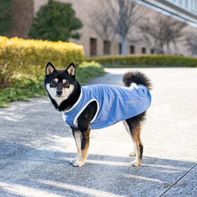 【指定住所配送P20倍・送料無料】ひんやりプリントタンクトップ ブルー Mサイズ ペット服(犬の服)