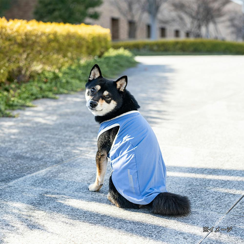 送料無料】ひんやりプリントタンクトップ ブルー 3Lサイズ ペット服(犬