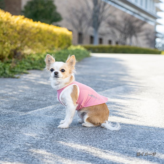 【指定住所配送P20倍・送料無料】ひんやりプリントタンクトップ ピンク Sサイズ ペット服(犬の服)