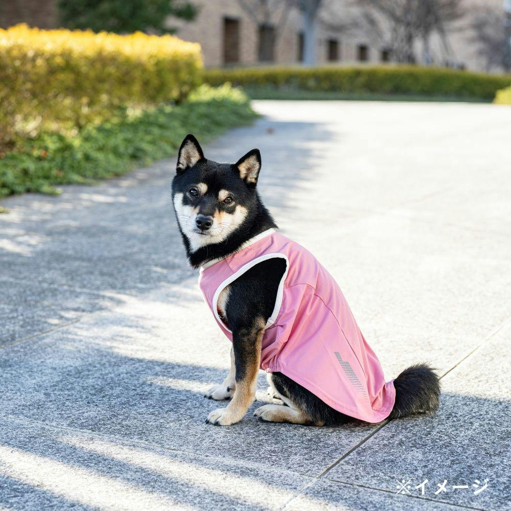 【即購入可能です。】犬服タンクトップ pipiポカポカタンクトップ ペット用品 犬服 ペットウェア ペット