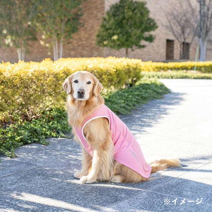 【送料無料】ひんやりプリントタンクトップ ピンク 7Lサイズ ペット服(犬の服)