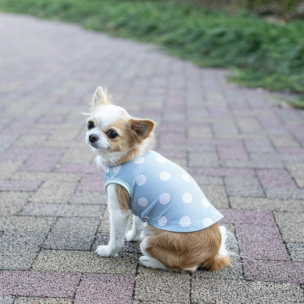 送料無料】ドットプリントタンクトップ ブルー Sサイズ ペット服(犬の
