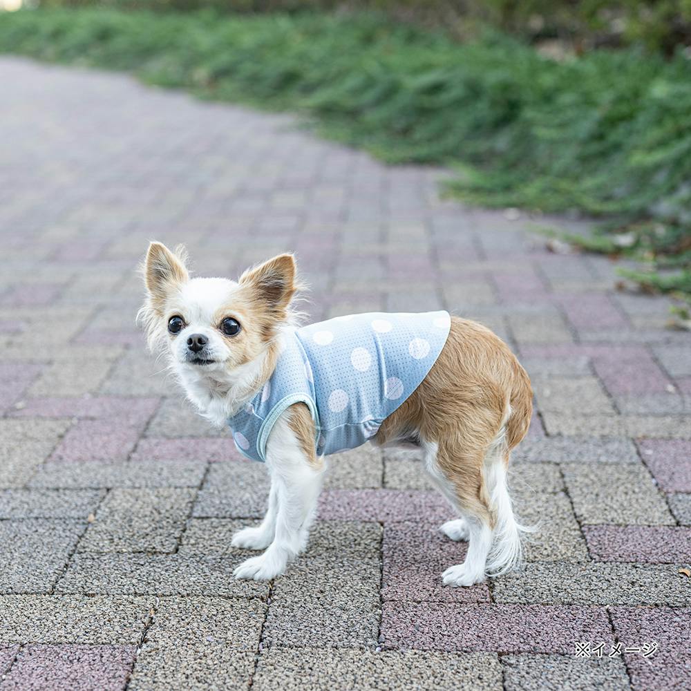 送料無料】ドットプリントタンクトップ ブルー MDサイズ ペット