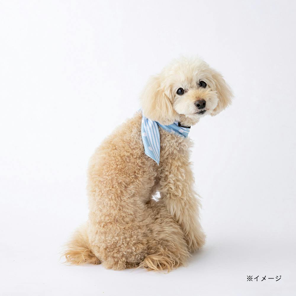 WIND AND SEA dogバンダナ　ブルー DOG BANDANNA – WIND AND SEA