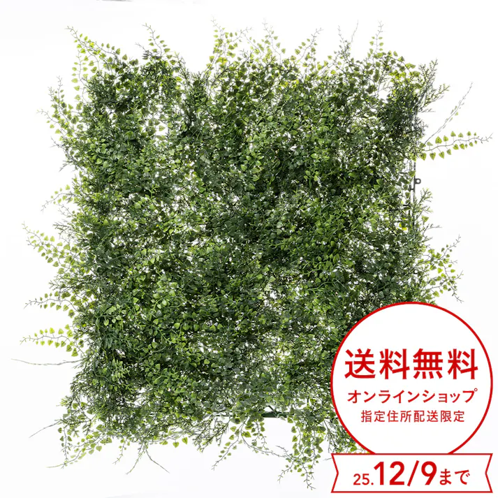 カインズ グリーンマット(アジアンタム)50×50cm