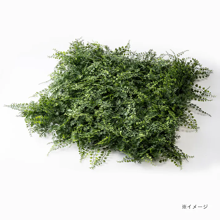 カインズ グリーンマット(アジアンタム)50×50cm