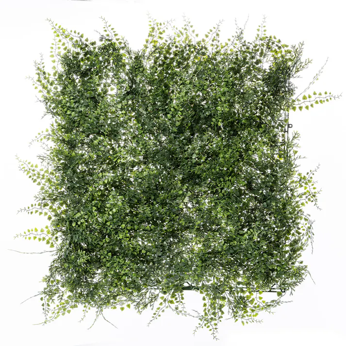 カインズ グリーンマット(アジアンタム)50×50cm