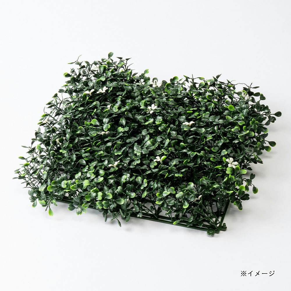 カインズ グリーンマット(ジュランWH)25×25cm | 花＆グリーン