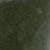 ダークグリーン
