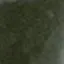 ダークグリーン