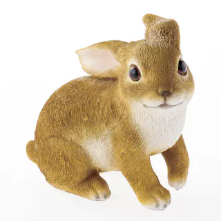 カインズ うさぎC