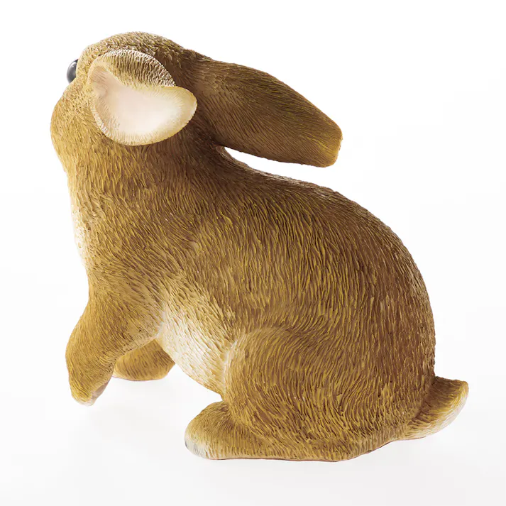 カインズ うさぎC