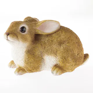 カインズ うさぎF