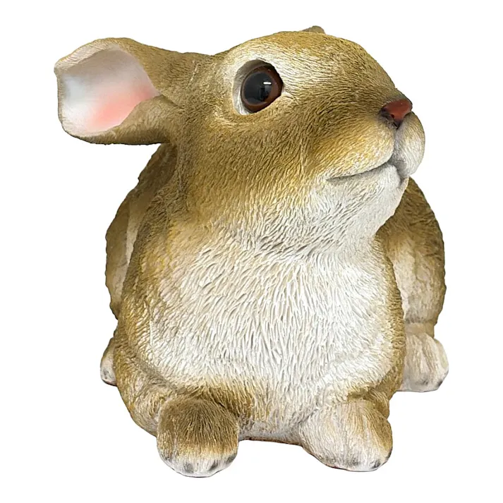 カインズ うさぎF
