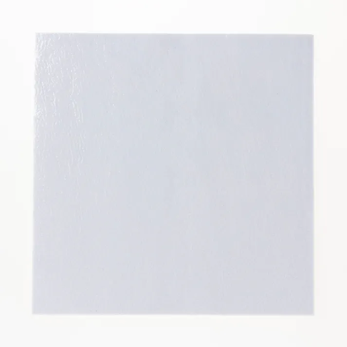 菌や臭いを防ぐ洗える吸着マット&pet アイボリー 9枚組 30×30cm